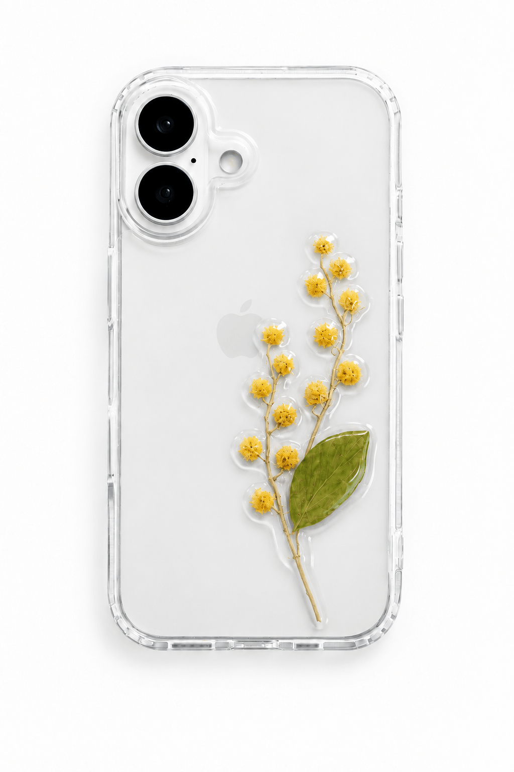 Mimosa Light — Mimosa Case - Nacre Studio